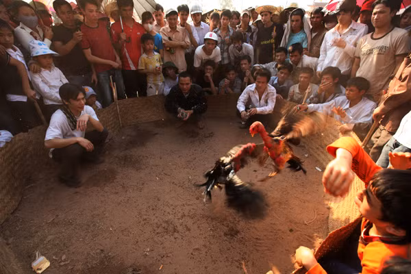 Triển lãm ảnh "Dấu ấn" ảnh 5