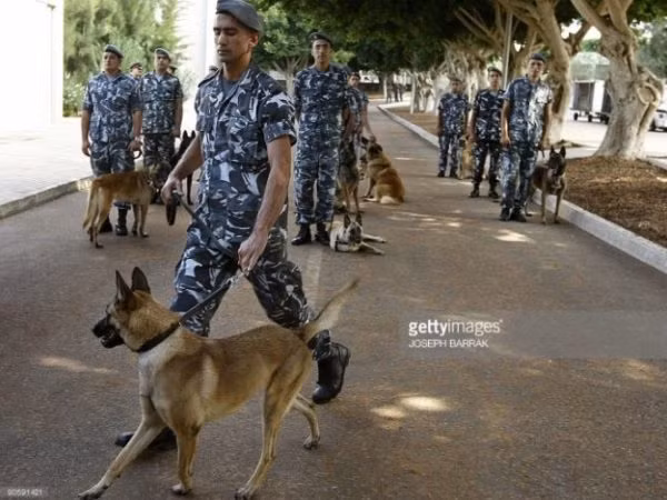 Lebanon bắt giữ một người Syria vì "gọi điện thoại cho Israel" ảnh 1