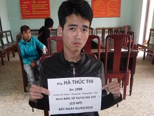 Mối nguy hiểm từ "cỏ Mỹ" ảnh 1
