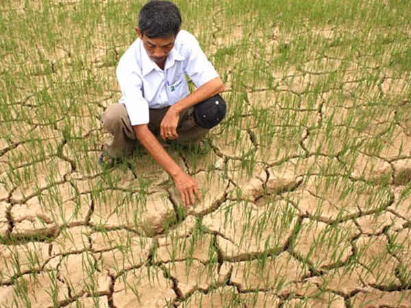 El Nino 2015-2016 kéo dài kỷ lục: Thời tiết phức tạp về cuối năm ảnh 2