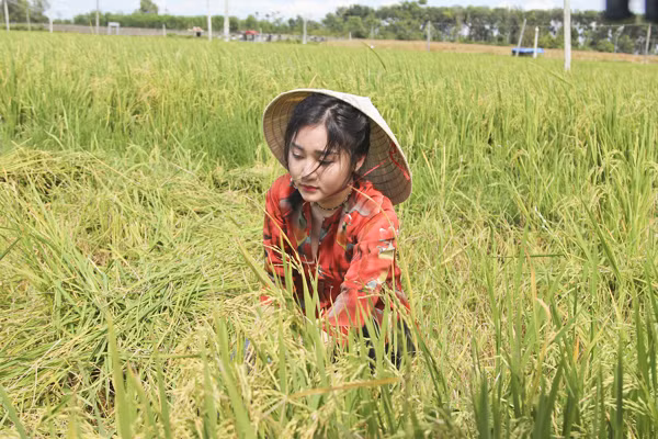 Project Runway Vietnam 2015: NTK Hải Yến "hoá thân" thôn nữ trên cánh đồng ảnh 6