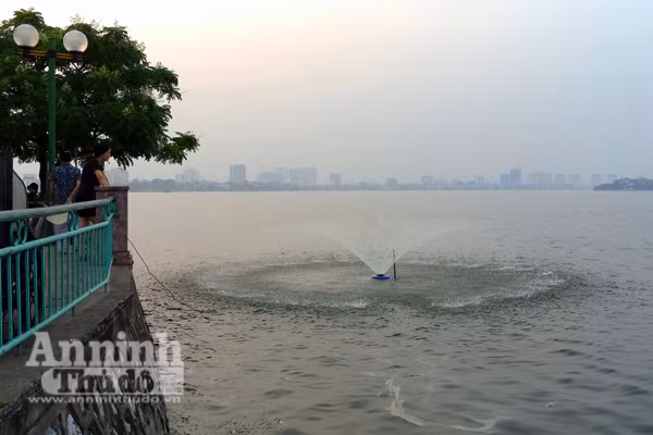 Nỗ lực "giải cứu" hồ Tây: Cá đã bơi trở lại ảnh 3