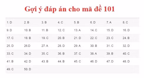 Gợi ý đáp án môn Toán kỳ thi THPT Quốc gia 2017 ảnh 10
