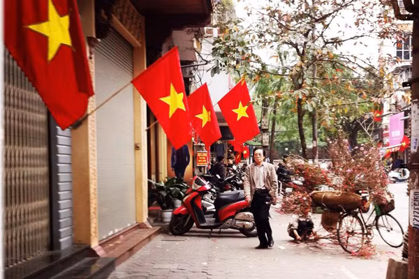 Hoa đào mang xuân xuống phố ảnh 2