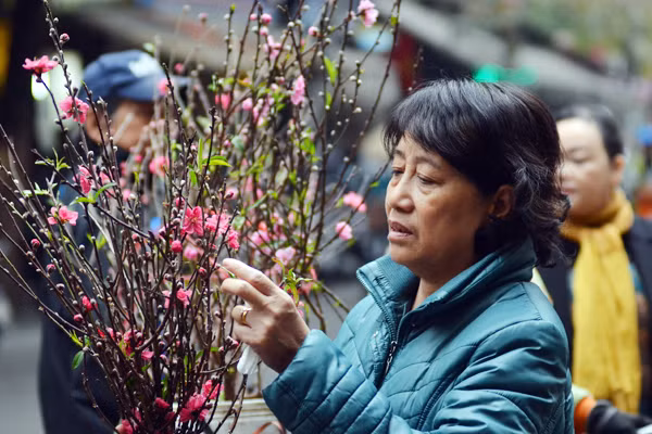 Hoa đào mang xuân xuống phố ảnh 6