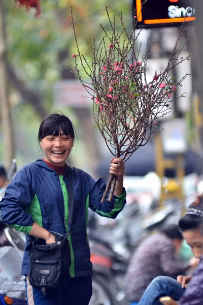 Hoa đào mang xuân xuống phố ảnh 7