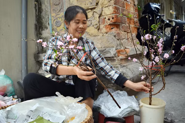 Hoa đào mang xuân xuống phố ảnh 5