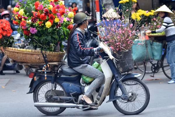 Hoa đào mang xuân xuống phố ảnh 9