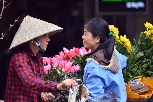 Hoa đào mang xuân xuống phố ảnh 8