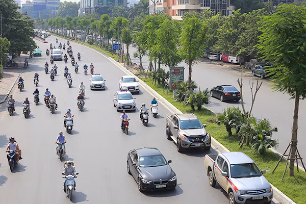 Kỳ lạ phượng vỹ Hà Nội nở hoa trái mùa ảnh 3