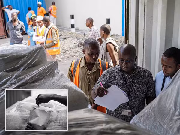 Ngà voi châu Phi "qua mặt" hải quan Kenya như thế nào? ảnh 1