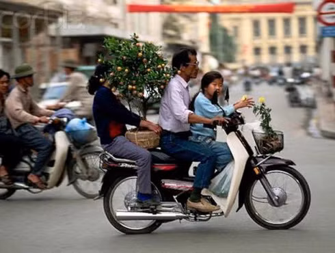 Có một thời muốn đi "giấc mơ" thì nuôi chó Nhật ảnh 2
