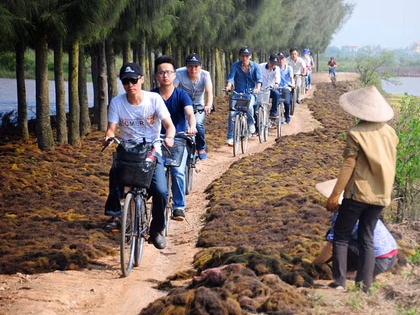Tràm chim ở cửa Ba Lạt, nơi con sông Hồng hoà vào với biển ảnh 2