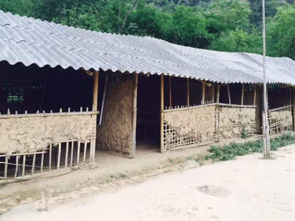 Món quà trước thềm năm học ảnh 4