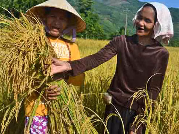 Tỷ lệ hộ nghèo dân tộc thiểu số giảm 3-4%/năm ảnh 1