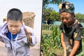 Trào lưu cho trẻ đi 'trại khổ sai' để học cách yêu thương gia đình