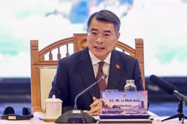 Thủ tướng Lê Minh Hưng: Chuyển mạnh quan hệ đầu tư Việt - Nhật sang 'đối tác cùng phát triển và kiến tạo'