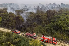 Indonesia nỗ lực dập lửa, ngăn cháy rừng uy hiếp Thủ đô mới Nusantara