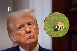 Ông Trump gây tranh cãi vì đăng video người đàn ông bị hổ tấn công