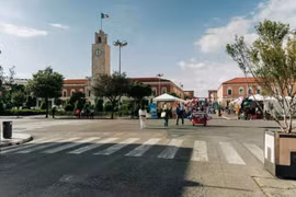 Nắng nóng kéo dài, virus Tây Nile lan rộng tại Italy