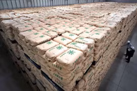 Nhật Bản 'đau đầu' vì lượng gạo tồn kho cao kỷ lục