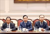 tong7.jpg