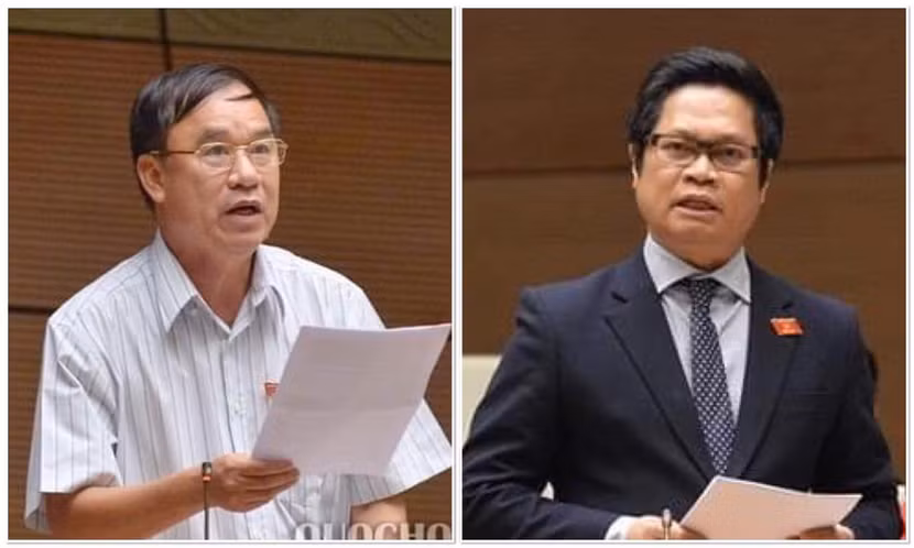 ĐBQH tranh luận: Có nên đưa 5 triệu hộ kinh doanh vào luật doanh nghiệp? ảnh 1