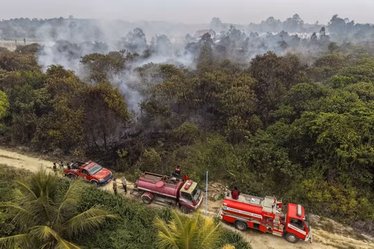 Indonesia nỗ lực dập lửa, ngăn cháy rừng uy hiếp Thủ đô mới Nusantara