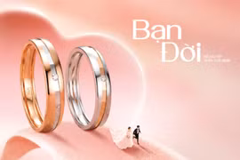 Bạn đời: Một cách nói mới về tình yêu trưởng thành