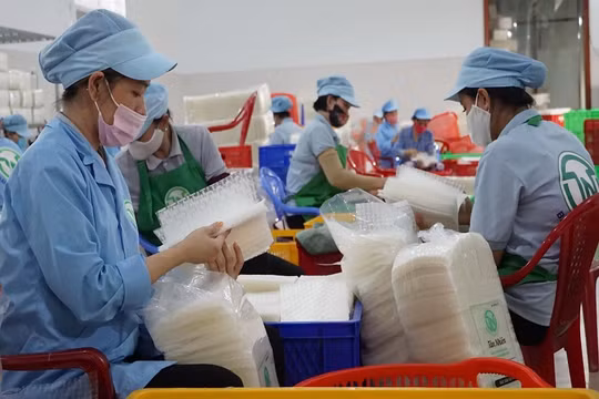 Hơn 90% doanh nghiệp vừa và nhỏ chưa tiếp cận vốn ngân hàng